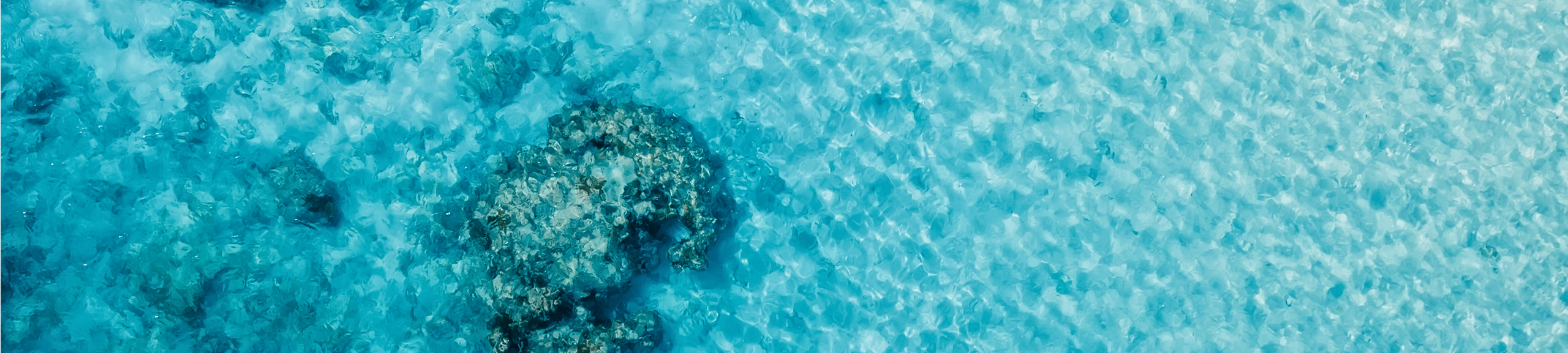 blue ocean vacations. Aerial view, top view